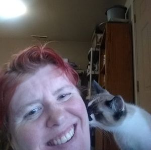 Meet your Posher, Mackenzie